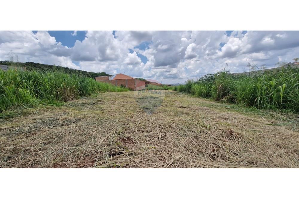 Terreno - Venda - Ribeirão Preto , São Paulo - WhatsApp Image 2025-01-13 at 18.45.43.jpeg - 780181011-259