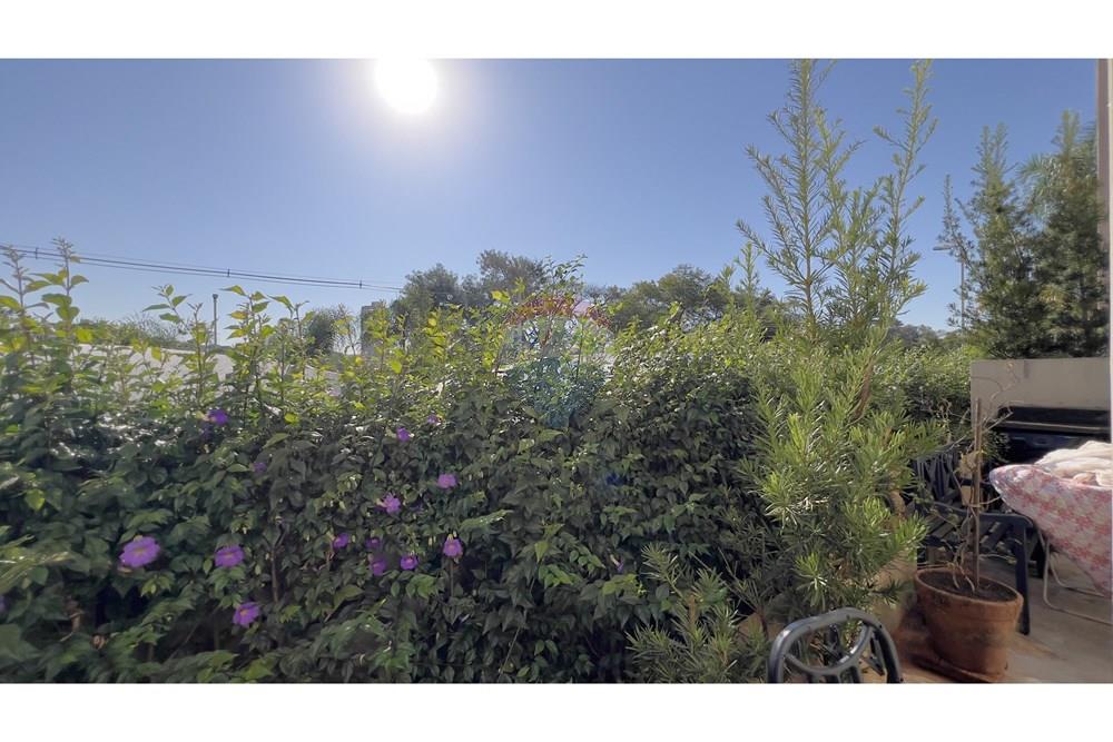 Apartamento - Venda - Ribeirão Preto , São Paulo - IMG_0742.jpg - 780091007-101