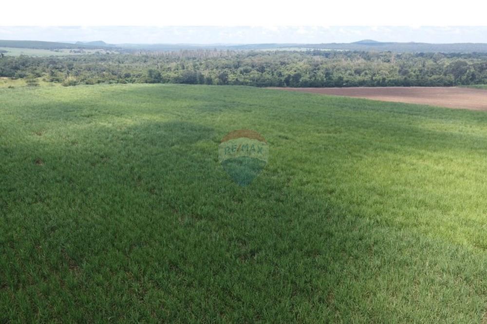 Fazenda - Venda - Altinópolis , São Paulo - DJI_0662.JPG - 780071012-246
