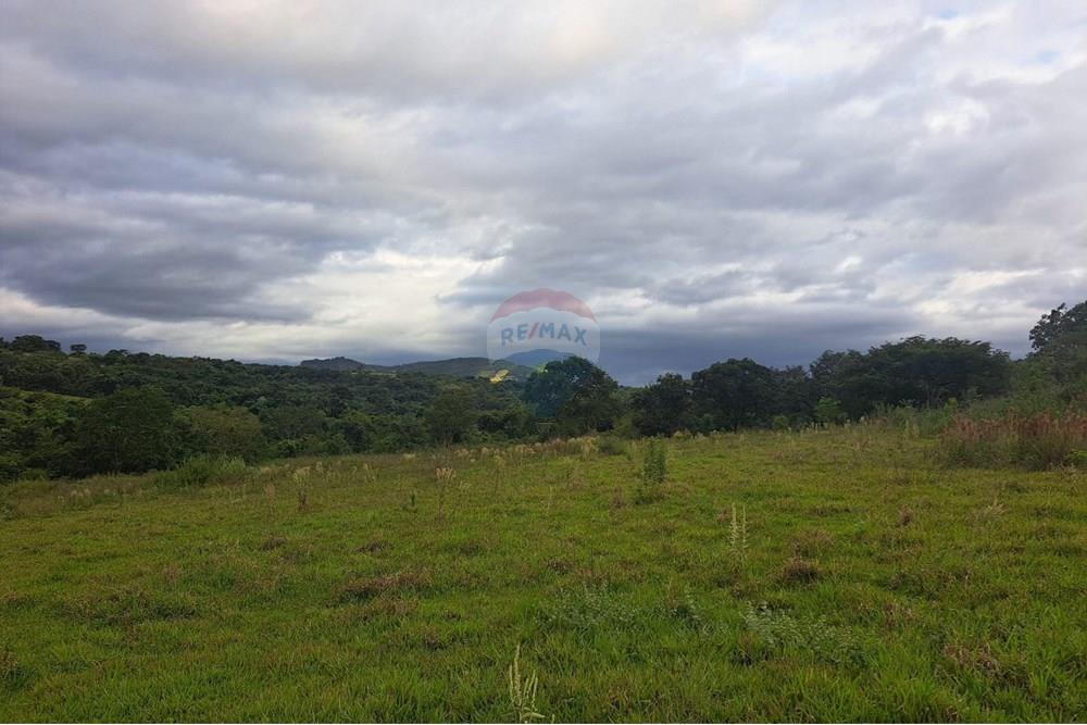 Chácara / Sítio / Fazenda - Venda - Cajuru , São Paulo - IMG-20250406-WA0096.jpg - 780171030-59