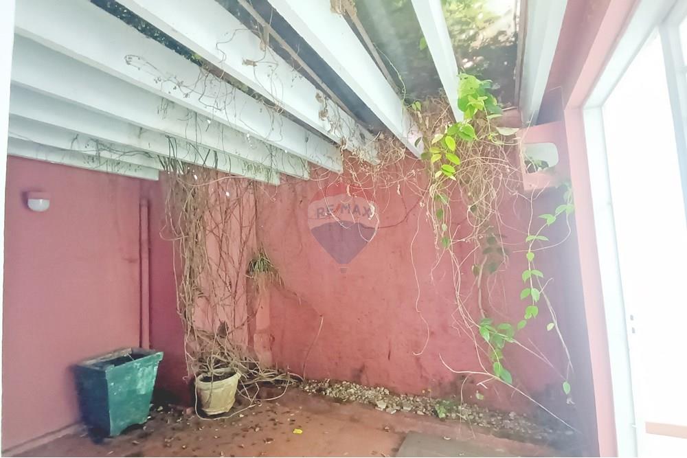 Ponto Comercial - Alugar - Ribeirão Preto , São Paulo - IMG_20250219_084957.jpg - 780181010-243