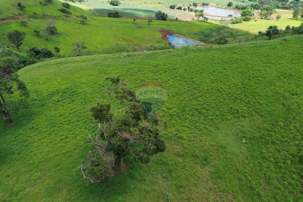 Fazenda - Venda - Cajuru , São Paulo - DJI_0038.JPG - 780171030-74