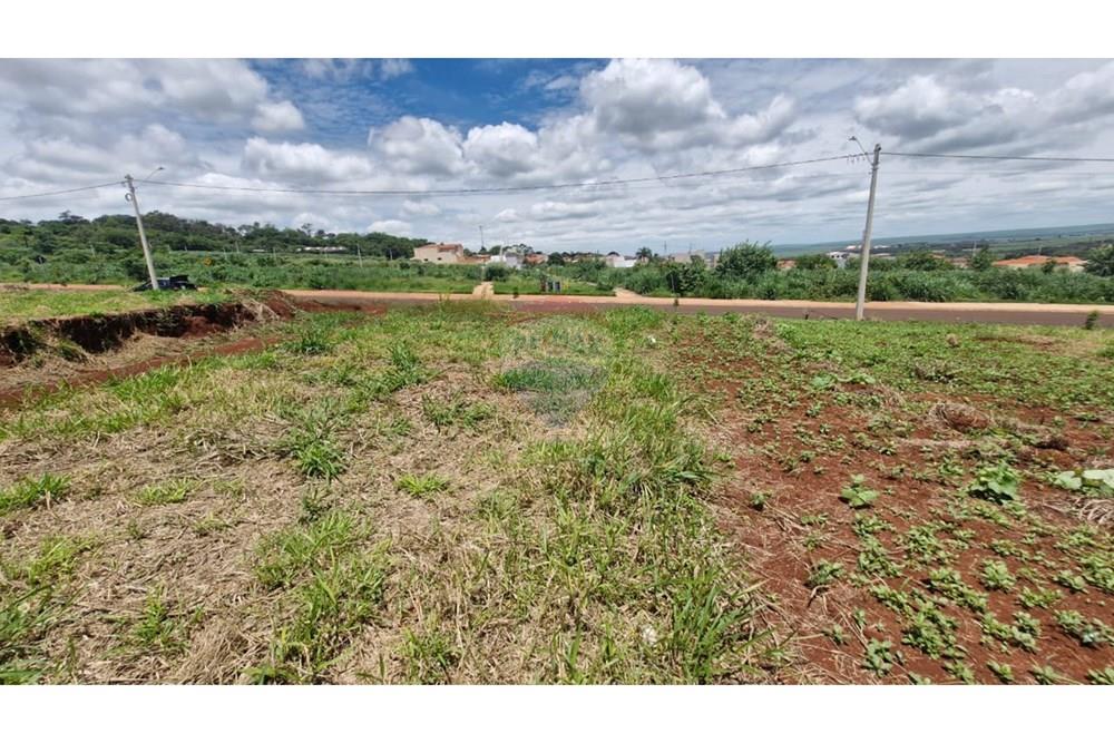 Terreno - Venda - Dumont , São Paulo - WhatsApp Image 2026-02-27 at 13.00.18 (2).jpeg - 780181011-292