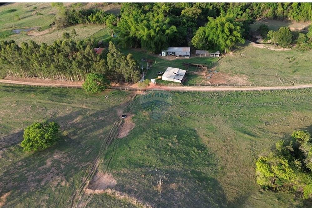Chácara / Sítio / Fazenda - Venda - Santo Antônio da Alegria , São Paulo - DJI_0390.JPG - 780171030-68