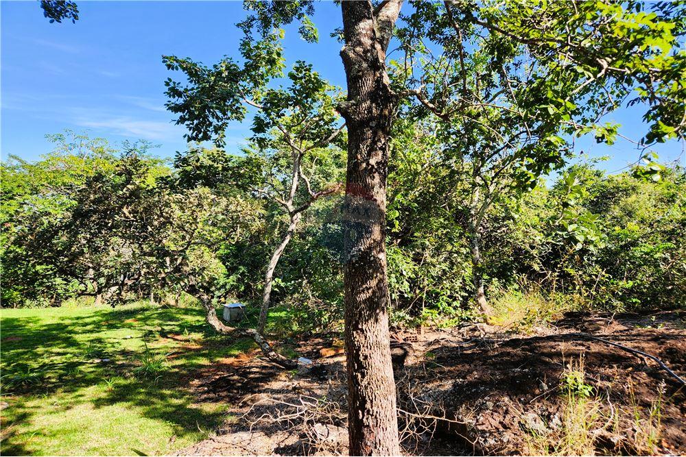 Chácara / Sítio / Fazenda - Venda - Delfinópolis , Minas Gerais - 17 - 780191018-3