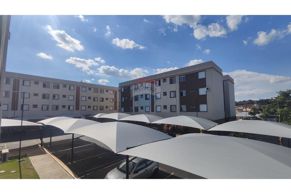 Apartamento - Venda - Ribeirão Preto , São Paulo - IMG_20260220_154435.jpg - 780171036-53