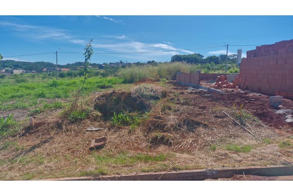 Terreno - Venda - Dumont , São Paulo - WhatsApp Image 2026-04-06 at 11.15.36 (1).jpeg - 780181011-299