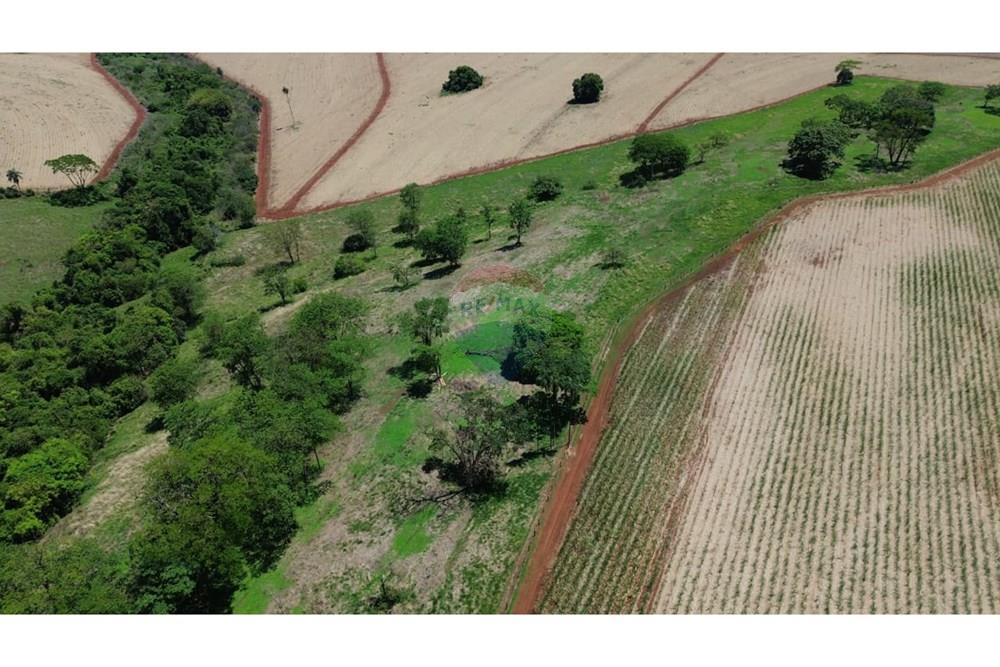 Chácara / Sítio / Fazenda - Venda - Buritizal , São Paulo - WhatsApp Image 2025-11-08 at 17.10.11.jpeg - 780131009-139