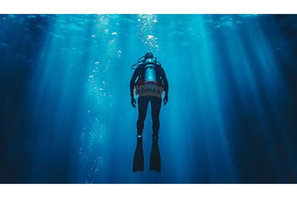 Duplex - Venda - Sacramento , Minas Gerais - img119.jpg - 780241038-13