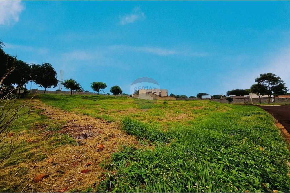 Terreno - Venda - Bonfim Paulista , São Paulo - WhatsApp Image 2025-01-19 at 12.11.10 (1).jpeg - 780251001-61