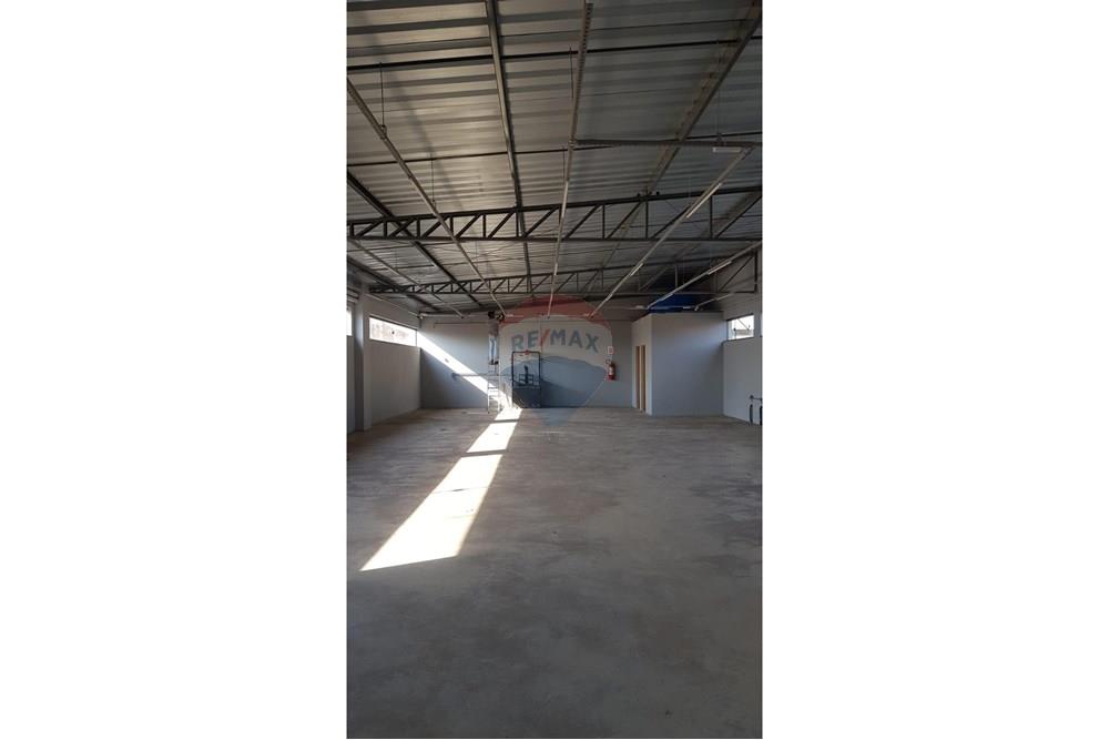 Galpão - Venda - Ribeirão Preto , São Paulo - MADRISA 8.jpeg - 780281007-9