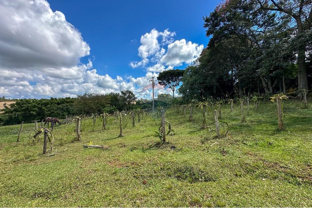Chácara / Sítio / Fazenda - Venda - Cajuru , São Paulo - IMG_9450.jpg - 780241009-47