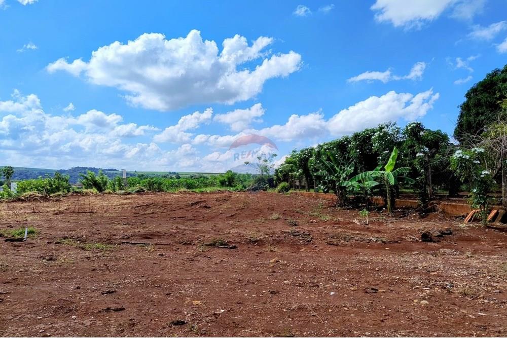 Chácara / Sítio / Fazenda - Venda - Dumont , São Paulo - WhatsApp Image 2025-09-03 at 10.21.35 (1).jpeg - 780181011-281