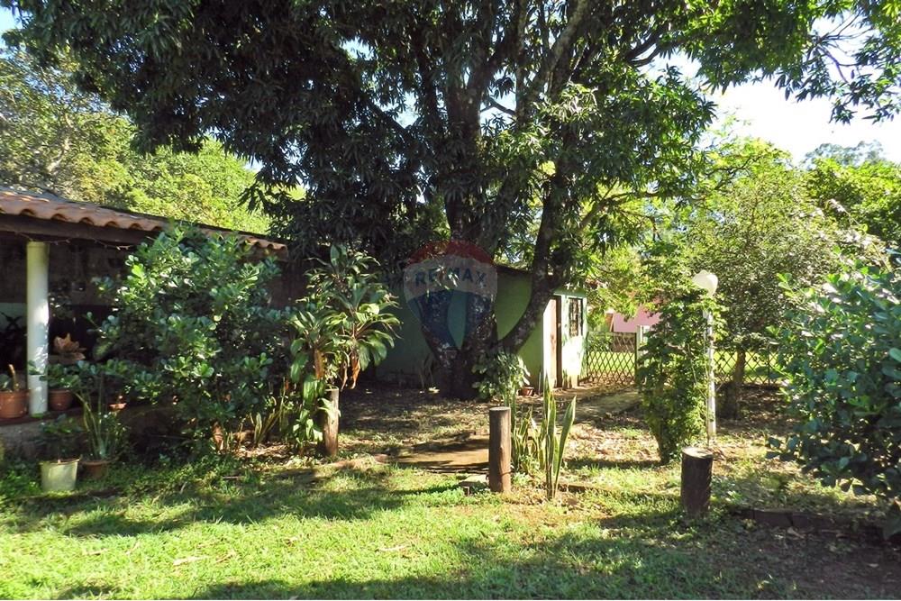 Chácara / Sítio / Fazenda - Venda - Ribeirão Preto , São Paulo - 30.JPG - Quintal - 780091070-39