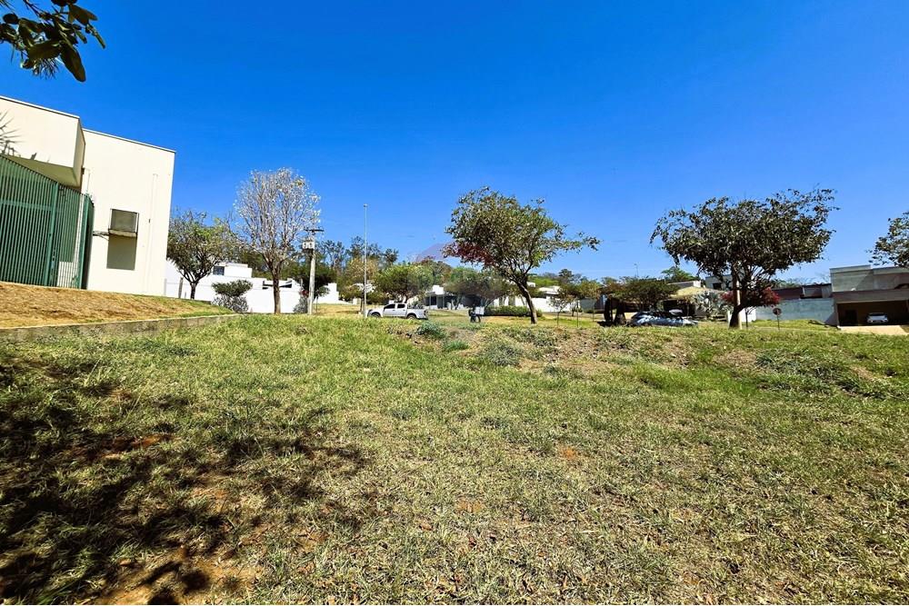 Terreno - Venda - Ribeirão Preto , São Paulo - 20250930_094952.jpg - 780251037-64