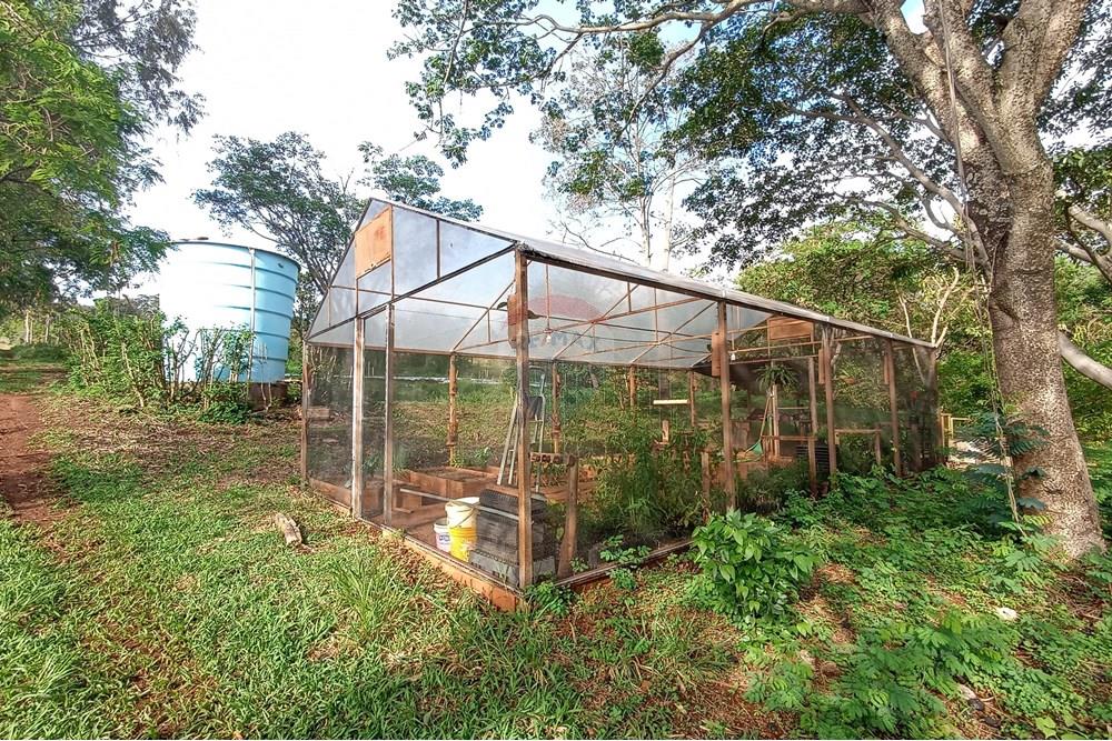 Fazenda - Venda - Cajuru , São Paulo - IMG_20241031_161816.jpg - 780271061-50