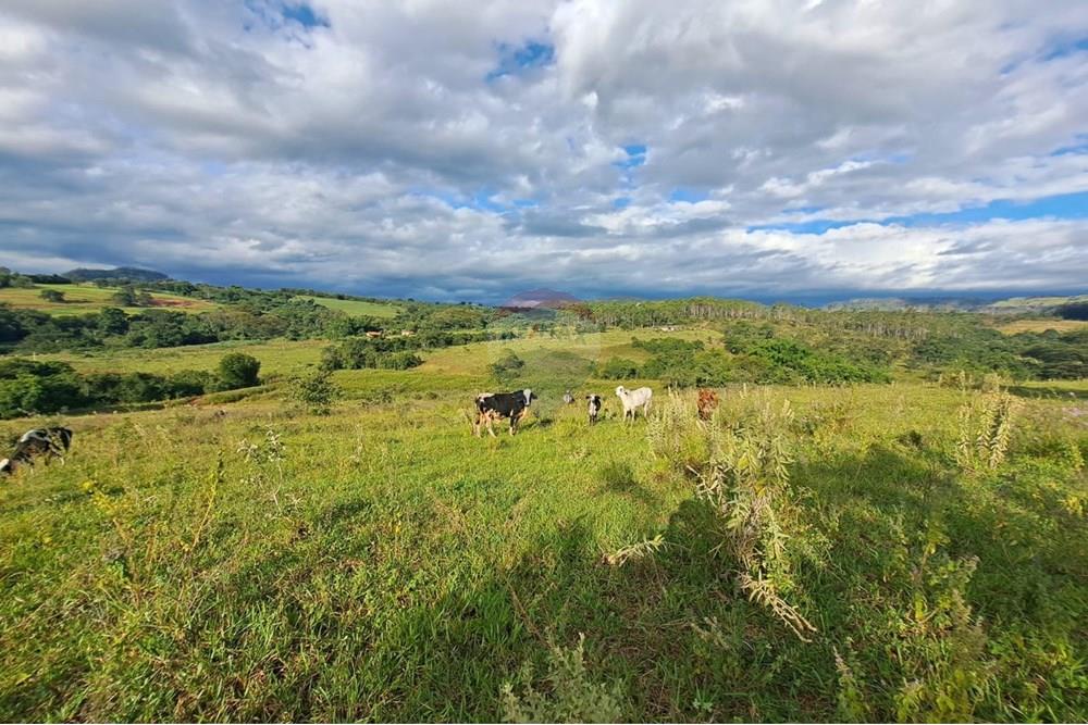 Fazenda - Venda - Cajuru , São Paulo - IMG-20250406-WA0172.jpg - 780171030-57