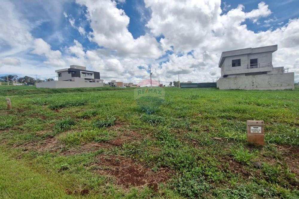 Terreno - Venda - Ribeirão Preto , São Paulo - WhatsApp Image 2026-02-03 at 09.42.06.jpeg - 780181002-50