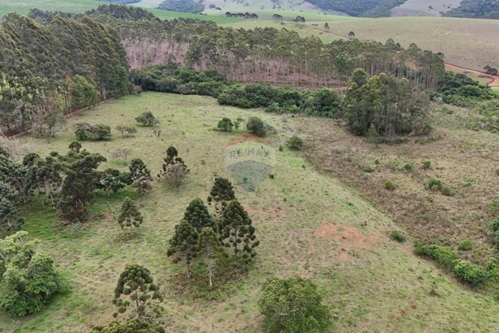 Chácara / Sítio / Fazenda - Venda - Aiuruoca , Minas Gerais - DJI_20241113155511_0326_D.JPG - 780251035-5