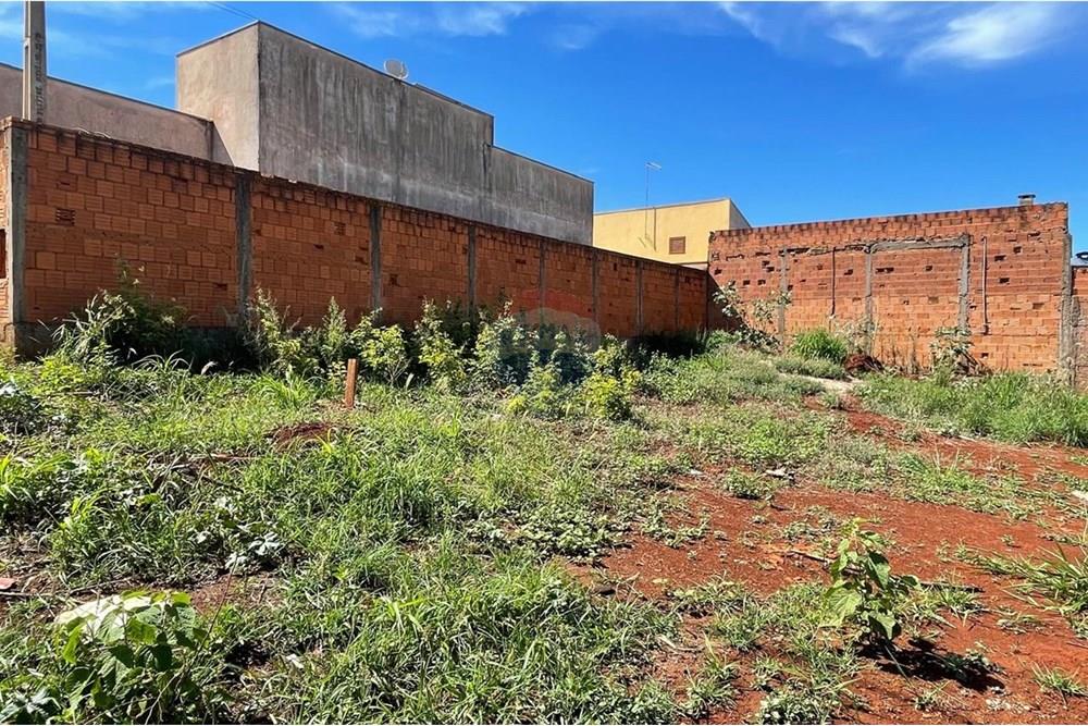 Terreno - Venda - São Joaquim da Barra , São Paulo - IMG-20251126-WA0073.jpg - 780301001-20