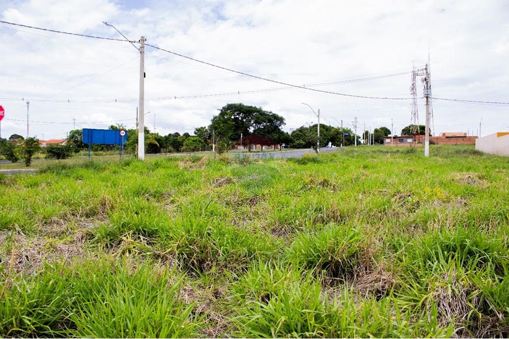 Terreno - Venda - São Joaquim da Barra , São Paulo - WhatsApp Image 2025-11-16 at 21.29.18.jpeg - 780301007-9