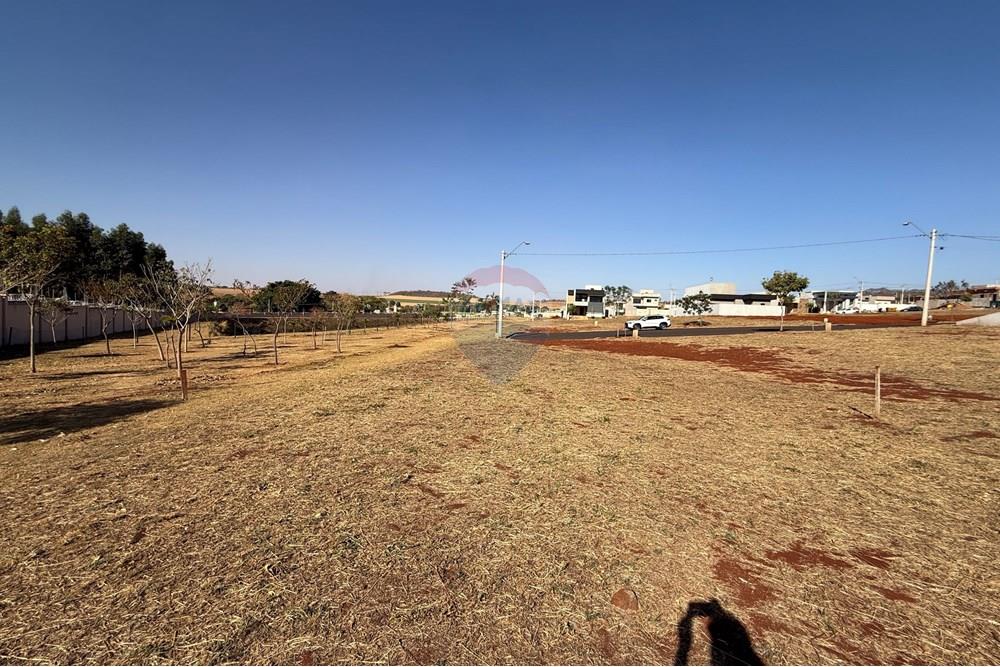 Terreno - Venda - Ribeirão Preto , São Paulo - IMG_4668.JPG - 780071020-152