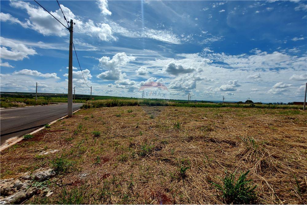 Terreno - Venda - Cravinhos , São Paulo - 6 - 780071037-60