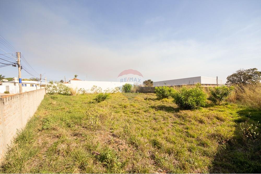 Terreno - Venda - Jaboticabal , São Paulo - IMG_4344.jpg - 780201015-47