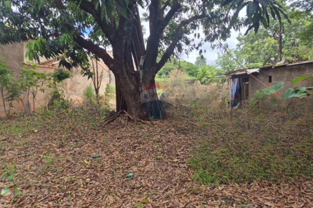 Terreno - Venda - Ribeirão Preto , São Paulo - 03_cleanup.jpg - 780171061-5