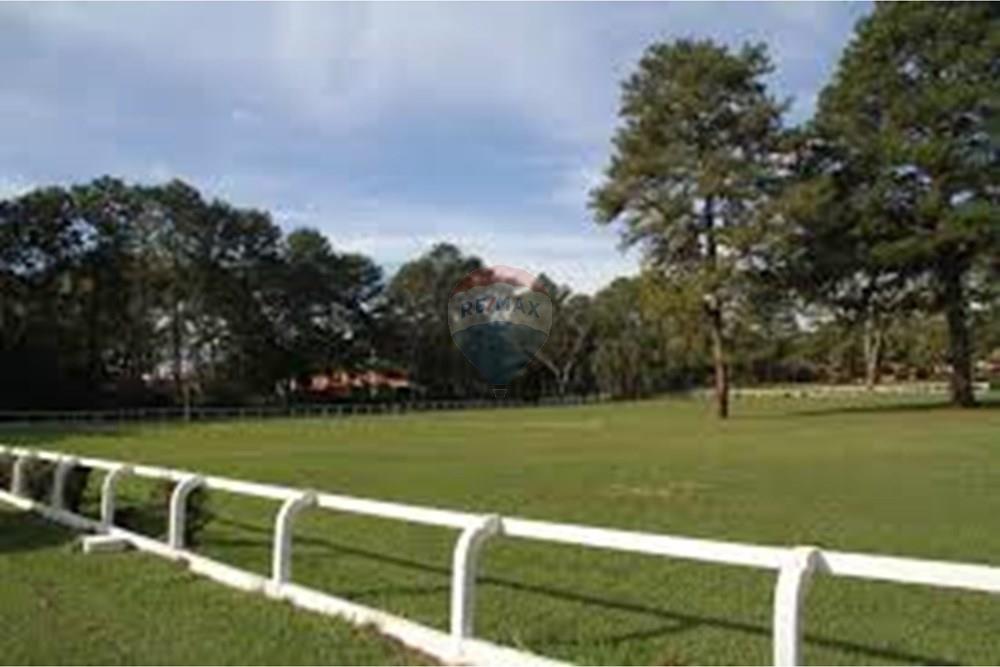 Casa de Condomínio - Venda - Ribeirão Preto , São Paulo - Hipismo_Pista principal.jpeg - 780171066-37