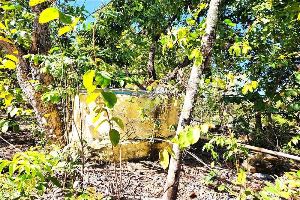 Chácara / Sítio / Fazenda - Venda - Delfinópolis , Minas Gerais - 9 - 780191018-3