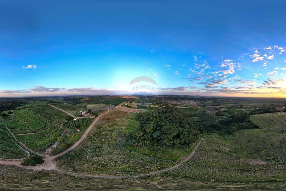 Chácara / Sítio / Fazenda - Venda - Monte Alto , São Paulo - foto 2.jpg - 780271059-44