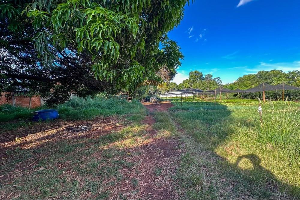 Terreno - Venda - Ribeirão Preto , São Paulo - 34.jpg - 780241010-16