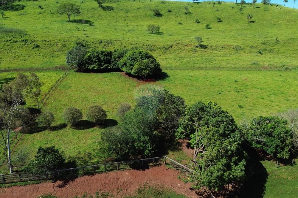 Fazenda - Venda - Cajuru , São Paulo - DJI_0011.JPG - 780171030-74
