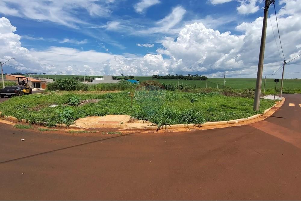 Terreno - Venda - Ribeirão Preto , São Paulo - WhatsApp Image 2025-02-14 at 12.11.36 (1).jpeg - 780201008-123