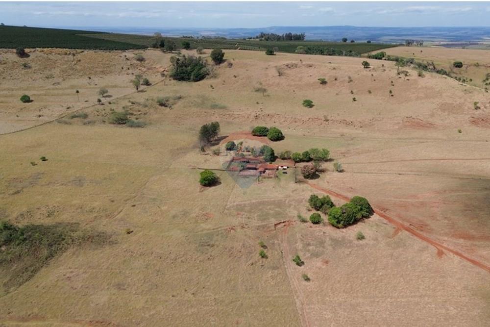 Chácara / Sítio / Fazenda - Venda - Cajuru , São Paulo - DJI_0286.JPG - 780171030-77