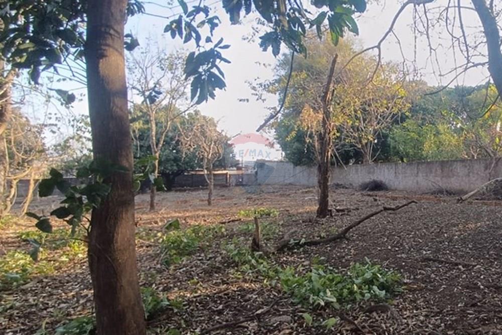 Chácara / Sítio / Fazenda - Venda - Franca , São Paulo - Imagem do WhatsApp de 2025-09-22 à(s) 10.23.56_47019dc1.jpg - 780231075-4