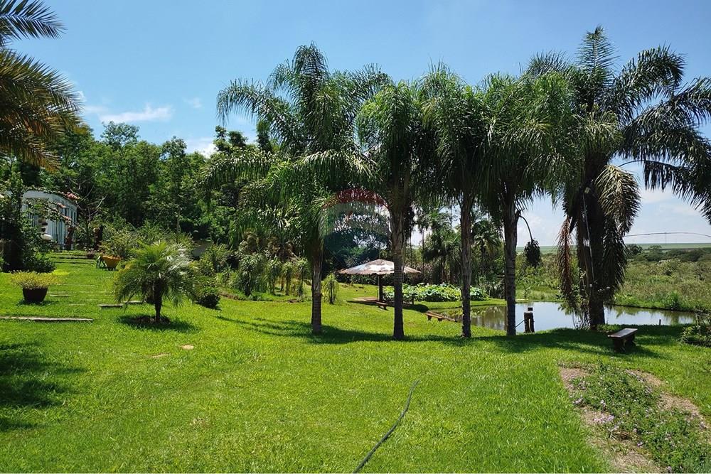 Chácara / Sítio / Fazenda - Venda - Ribeirão Preto , São Paulo - 08 - Copia - Copia - Copia - Copia.jpg - 780151006-140