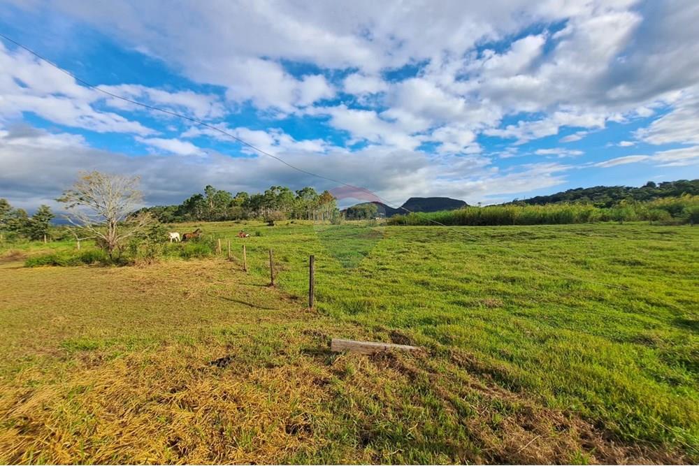 Fazenda - Venda - Cajuru , São Paulo - IMG-20250406-WA0118.jpg - 780171030-57