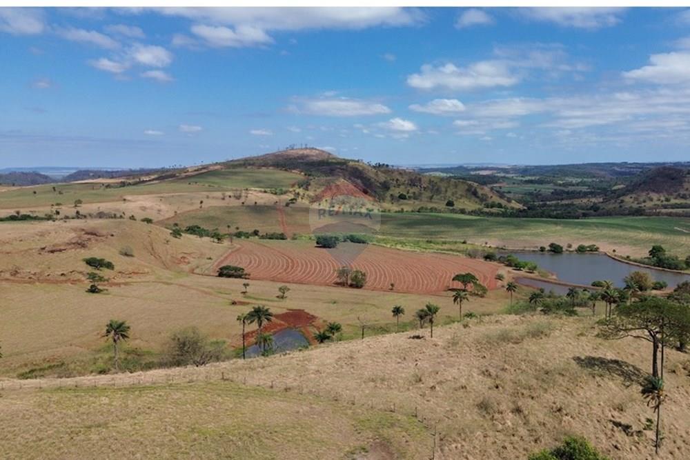 Chácara / Sítio / Fazenda - Venda - Cajuru , São Paulo - DJI_0304.JPG - 780171030-77