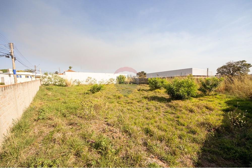Terreno - Venda - Jaboticabal , São Paulo - IMG_4343.jpg - 780201015-47