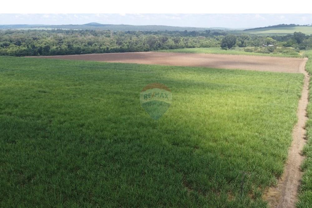 Fazenda - Venda - Altinópolis , São Paulo - DJI_0661.JPG - 780071012-246