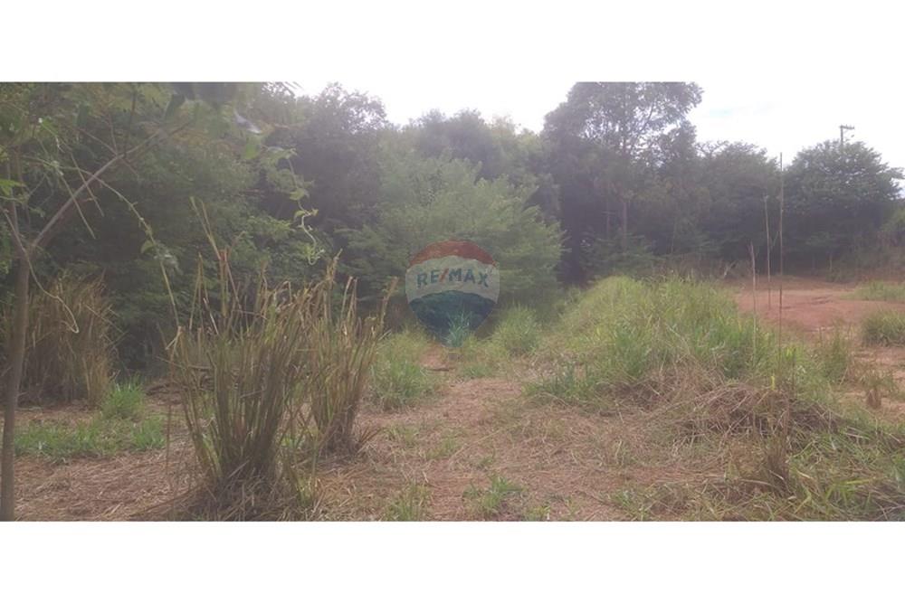 Terreno - Venda - Cristais Paulista , São Paulo - Imagem do WhatsApp de 2025-03-26 à(s) 16.23.27_9feee468.jpg - 780231035-21