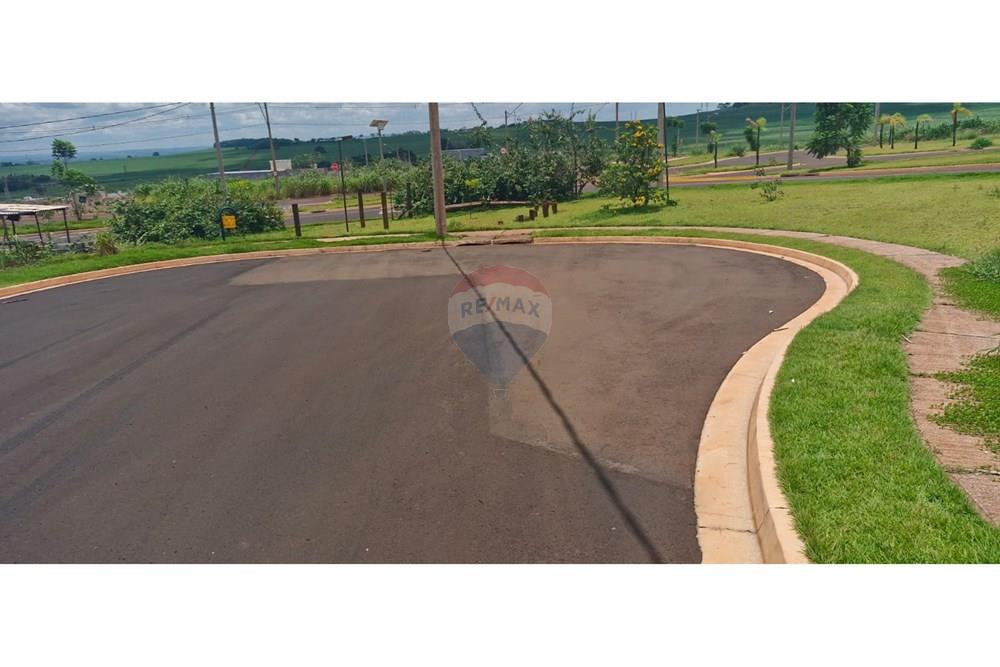 Terreno - Venda - Ribeirão Preto , São Paulo - WhatsApp Image 2025-01-13 at 18.45.48 (1).jpeg - 780181011-259