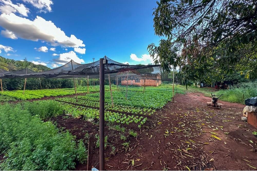 Terreno - Venda - Ribeirão Preto , São Paulo - 20.jpg - 780241010-16