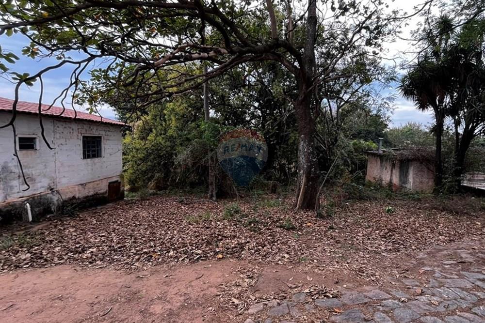 Chácara / Sítio / Fazenda - Venda - São João da Boa Vista , São Paulo - IMG_0182.JPEG - 780291001-43