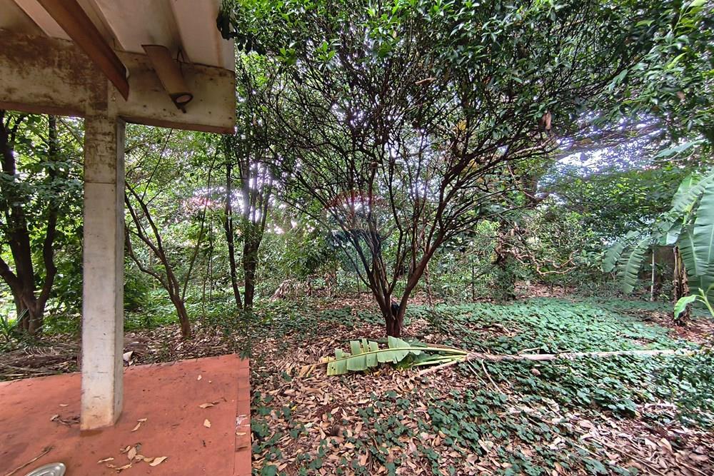 Terreno - Venda - Ribeirão Preto , São Paulo - IMG_20260113_100951.jpg - 780091040-63