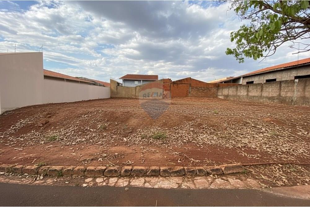 Terreno - Venda - São Joaquim da Barra , São Paulo - 12.jpg - 780301006-44