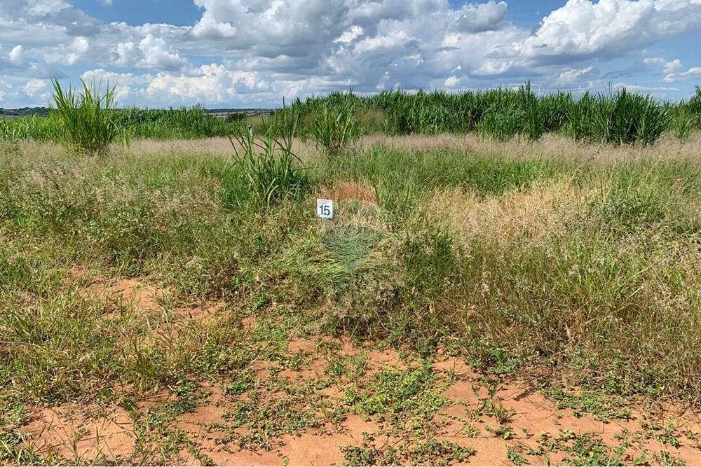 Terreno - Venda - Franca , São Paulo - WhatsApp Image 2026-03-16 at 15.03.52.jpeg - 780231106-5