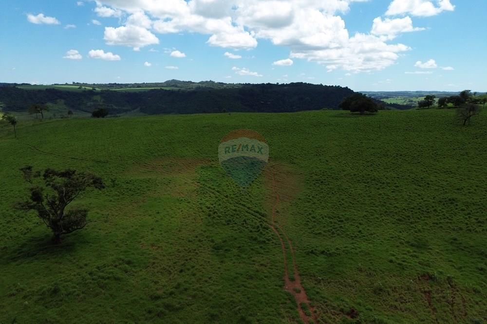 Fazenda - Venda - Cajuru , São Paulo - DJI_0035.JPG - 780171030-74